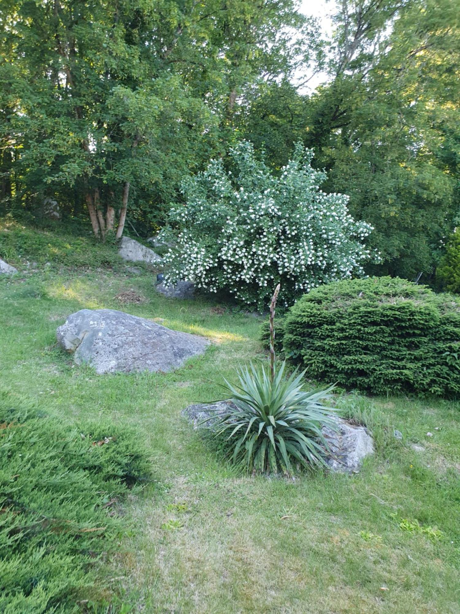 Le Jardin Des Roches Bed & Breakfast Moigny Ngoại thất bức ảnh